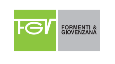 FGV logo.png (12 KB)